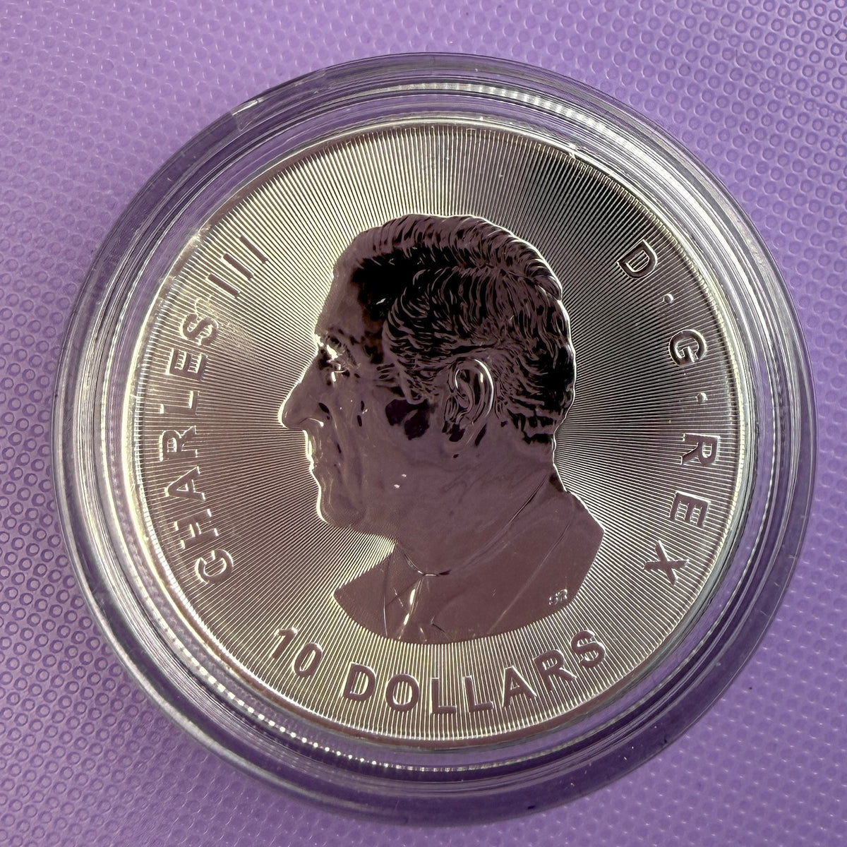 2025 $2 Canada Goose Canada Goose 2 oz