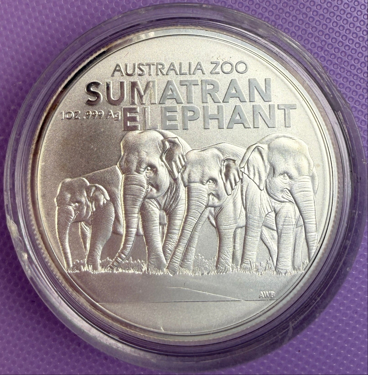 2022 Australia Zoo Sumatran Elephant 1 oz .999 Silver Coin – 25,000 Mintage