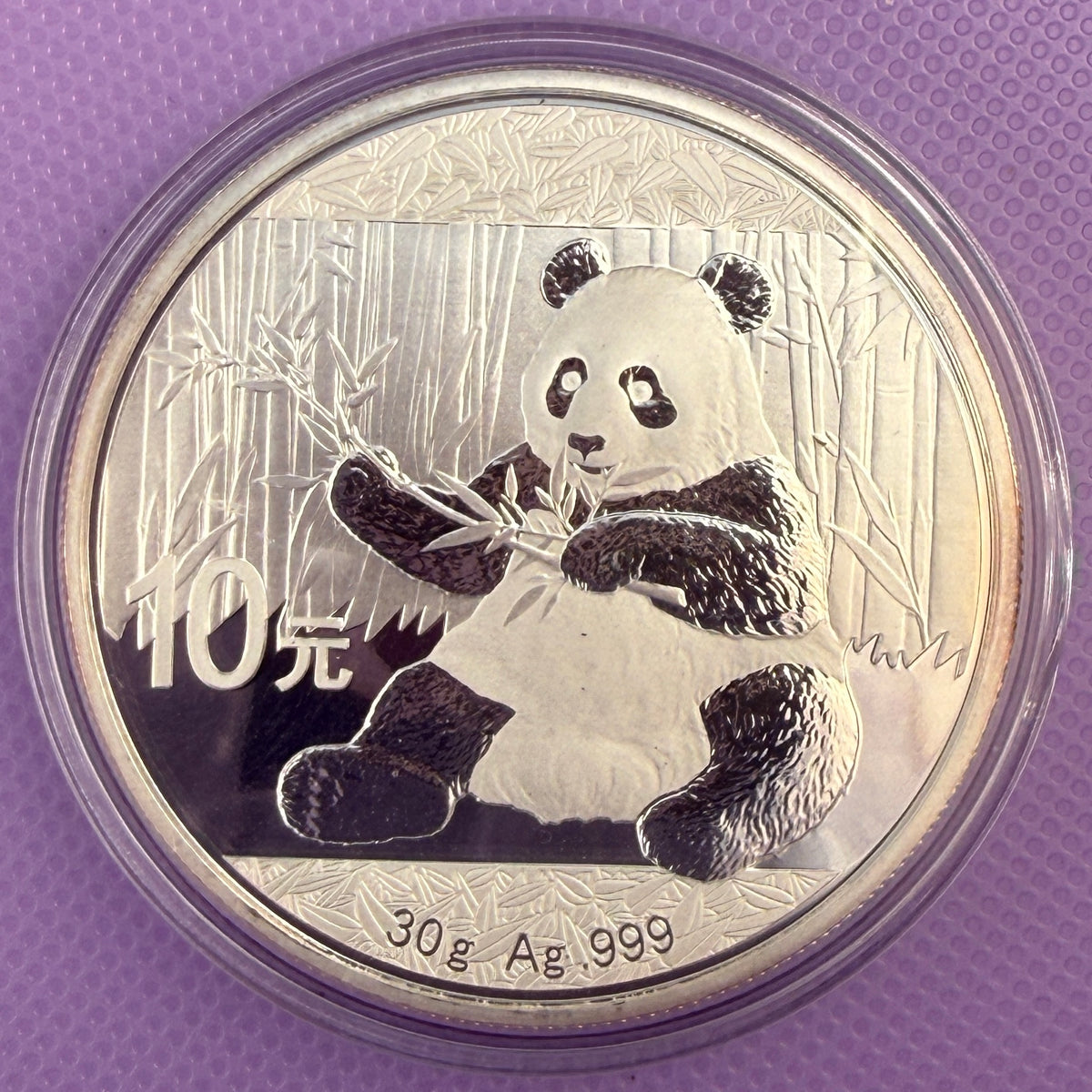 2017 China Silver Panda 30g .999 Fine Silver 10 Yuan Coin in Capsule
