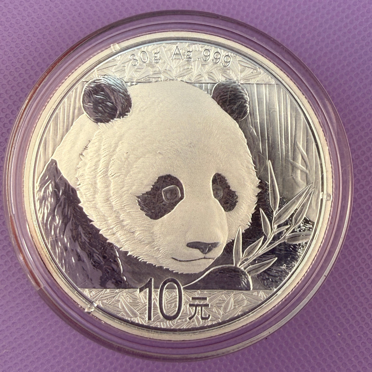 2018 China Silver Panda 30g .999 Fine Silver 10 Yuan Coin in Capsule