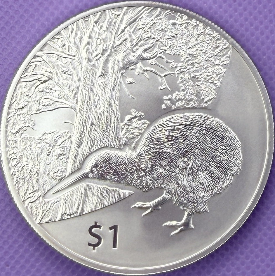 2013 New Zealand Kiwi BU