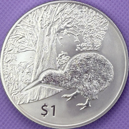 2013 New Zealand Kiwi BU