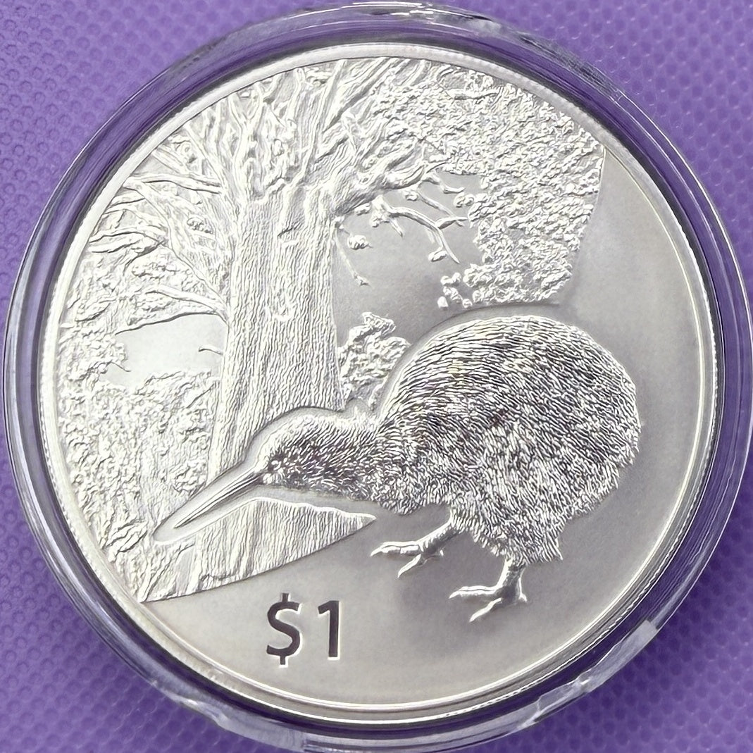 2013 New Zealand Kiwi BU