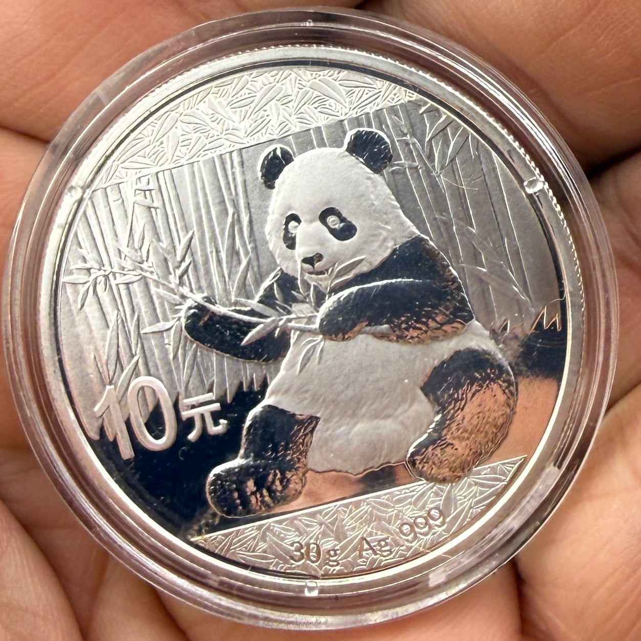 2017 Chinese Silver Panda Coin BU