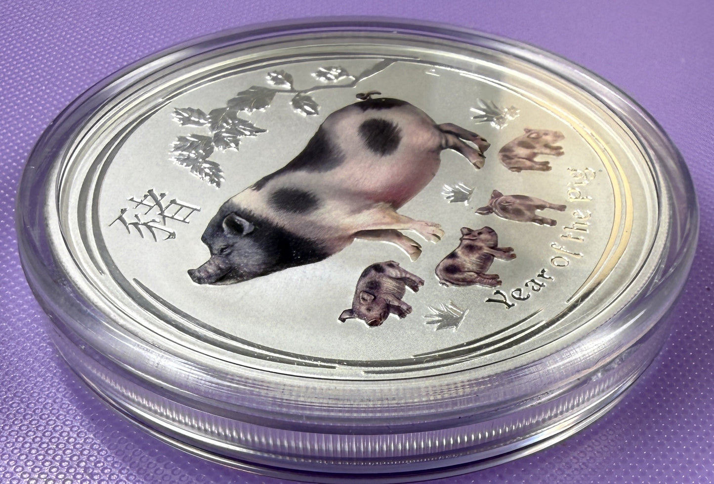 2019 Australia Lunar Year of the Pig Colorized 5 oz Silver Coin BU