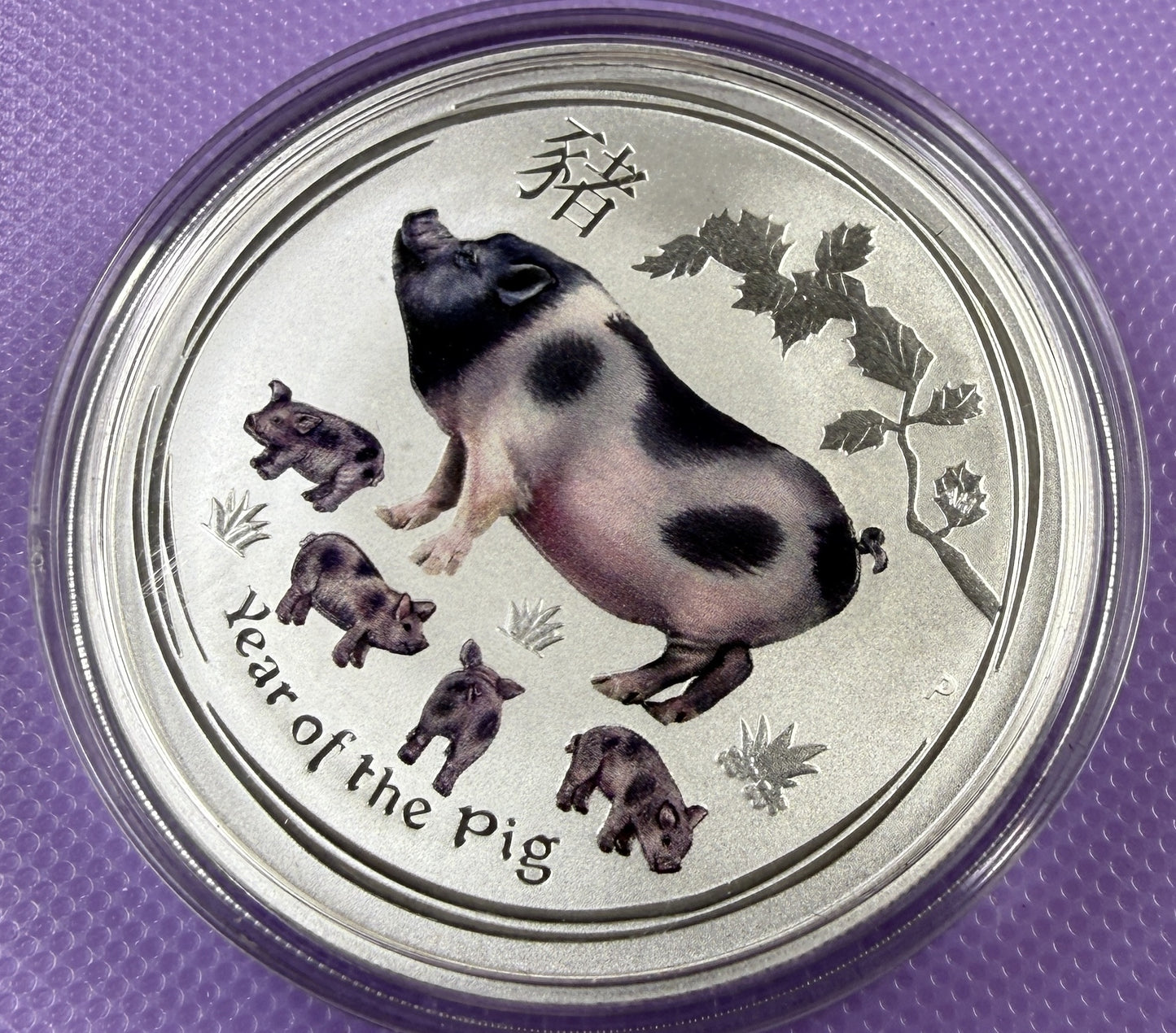 2019 Australia Lunar Year of the Pig Colorized 1 oz Silver Coin BU
