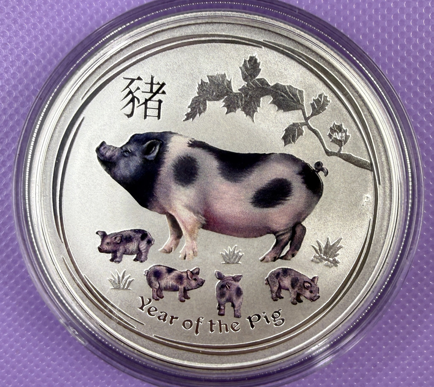 2019 Australia Lunar Year of the Pig Colorized 1 oz Silver Coin BU