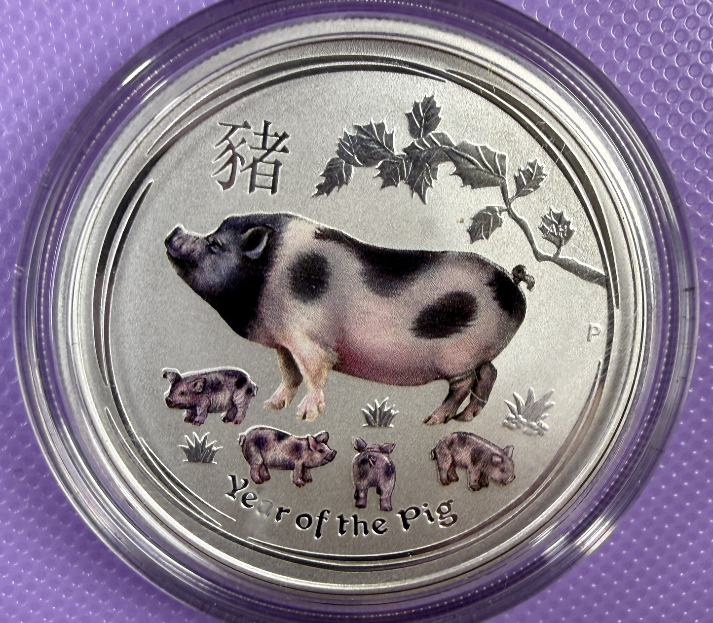 2019 Australia Lunar Year of the Pig Colorized 1/2 oz Silver Coin BU