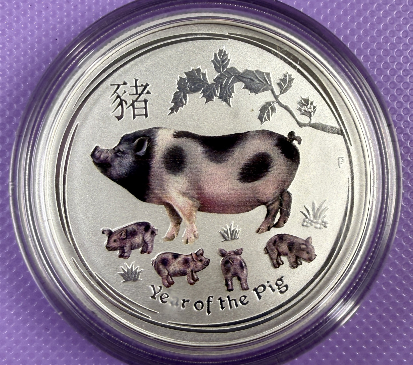 2019 Australia Lunar Year of the Pig Colorized 1/2 oz Silver Coin BU