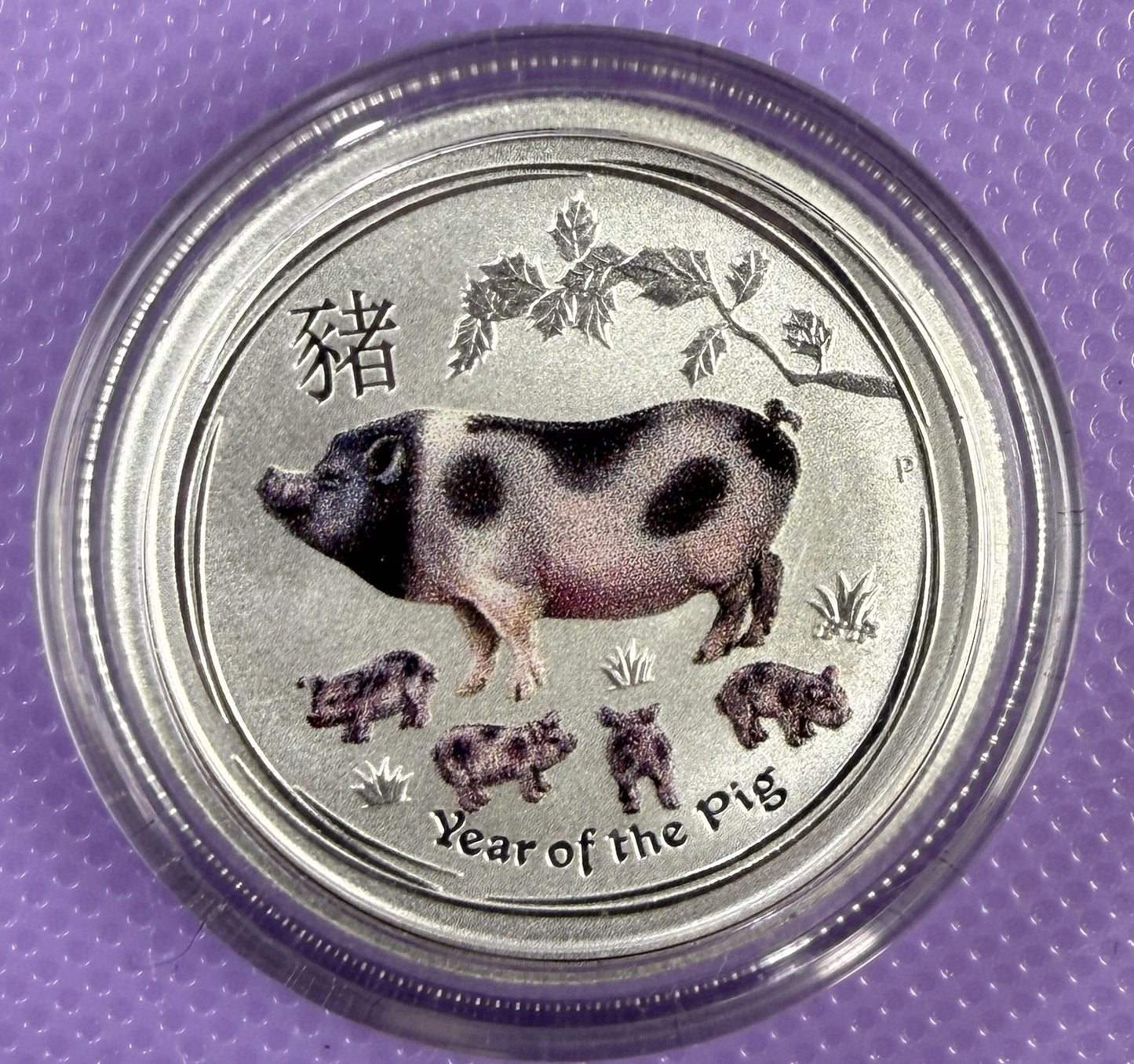 2019 Australia Lunar Year of the Pig Colorized 1/4 oz Silver Coin BU