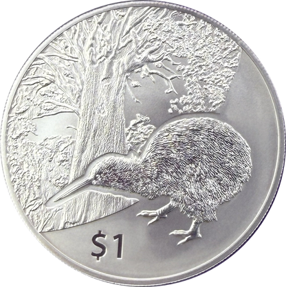2013 New Zealand Kiwi BU