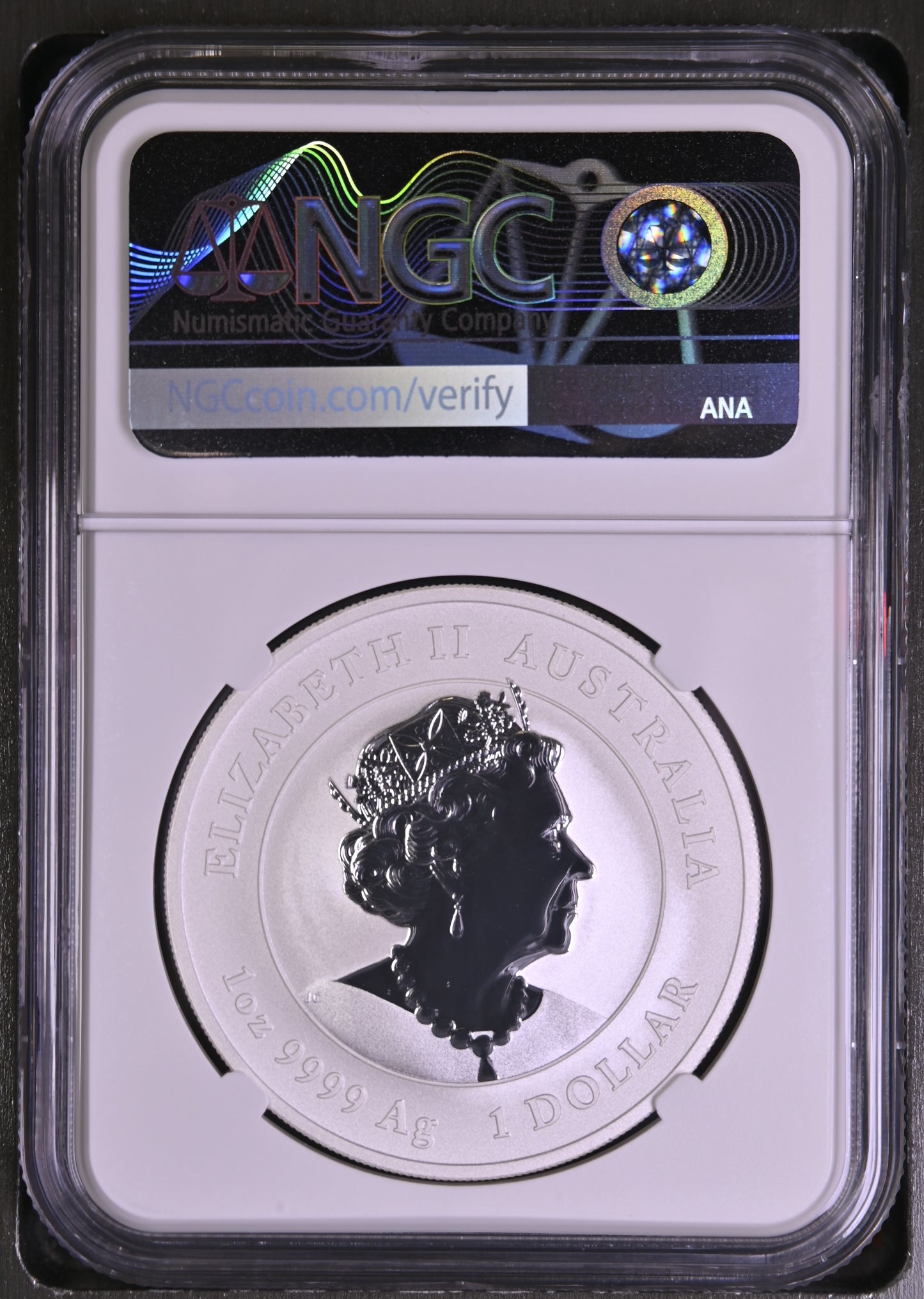2022 Australia Year of the Tiger Colorized 1 oz Silver NGC MS70 First Releases Perth Mint