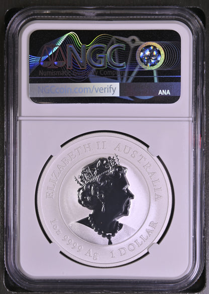 2022 Australia Year of the Tiger Colorized 1 oz Silver NGC MS70 First Releases Perth Mint