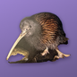 2008 New Zealand Kiwi Treasures Kowhai Coin in Original Display Card